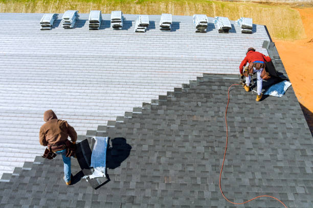Best Shingle Roofing Installation  in Avenal, CA